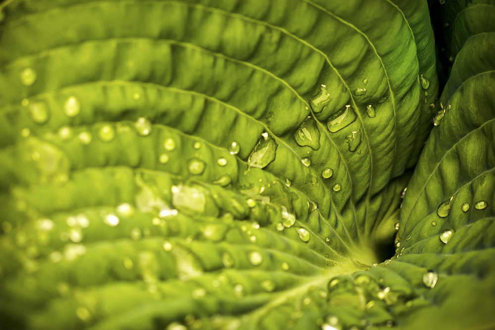 Platz 8 Anton Kienle